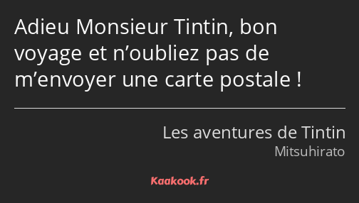Adieu Monsieur Tintin, bon voyage et n’oubliez pas de m’envoyer une carte postale !